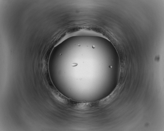 X0000100470136200806131135