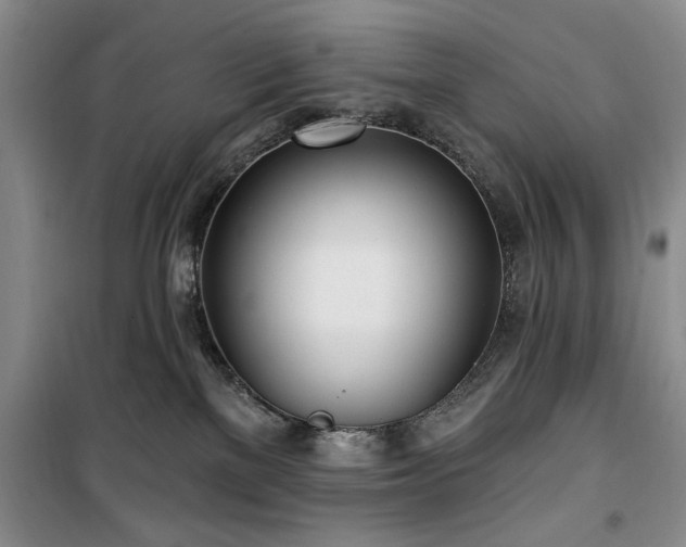 X0000100470137200806131135