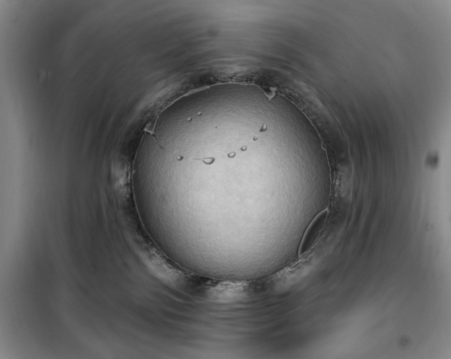 X0000100470138200806131135