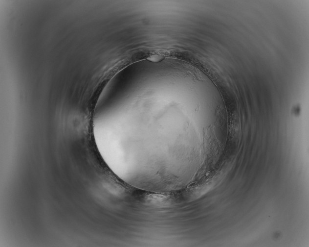 X0000100470139200806131135