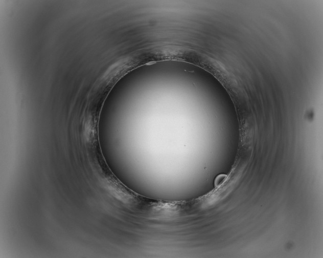 X0000100470140200806131135