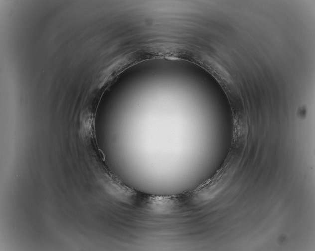 X0000100470141200806131135