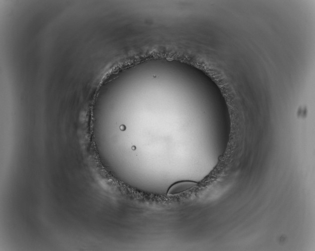 X0000100470144200806131135