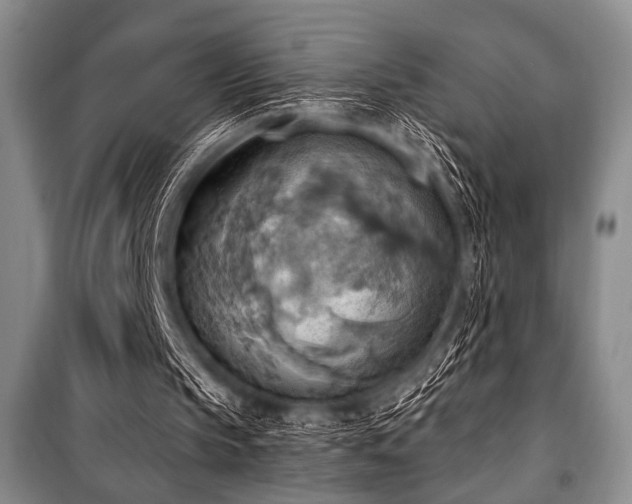 X0000100470145200806131135