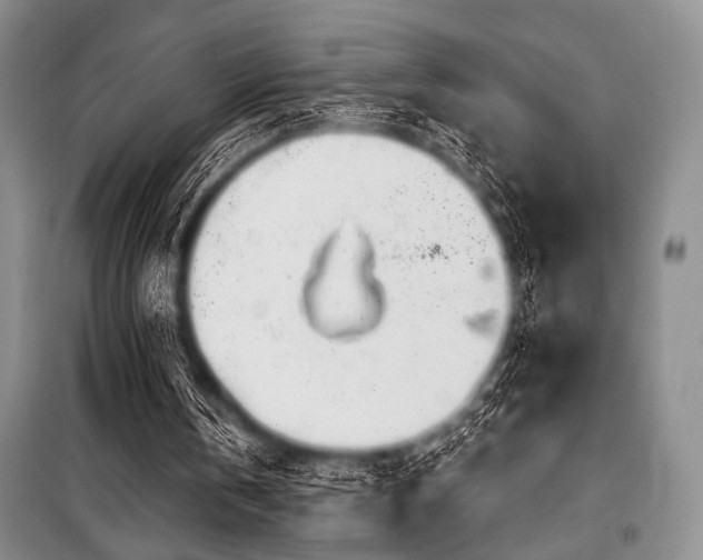 X0000100470146200806131135