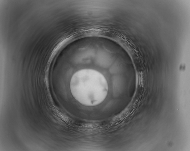 X0000100470147200806131135