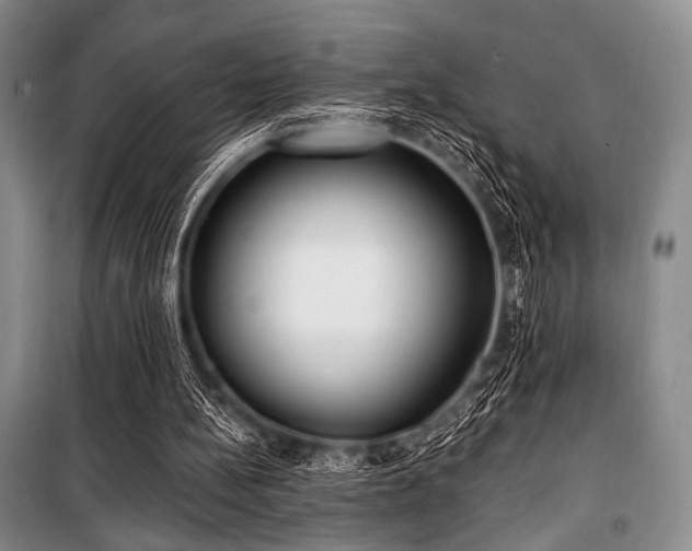 X0000100470148200806131135