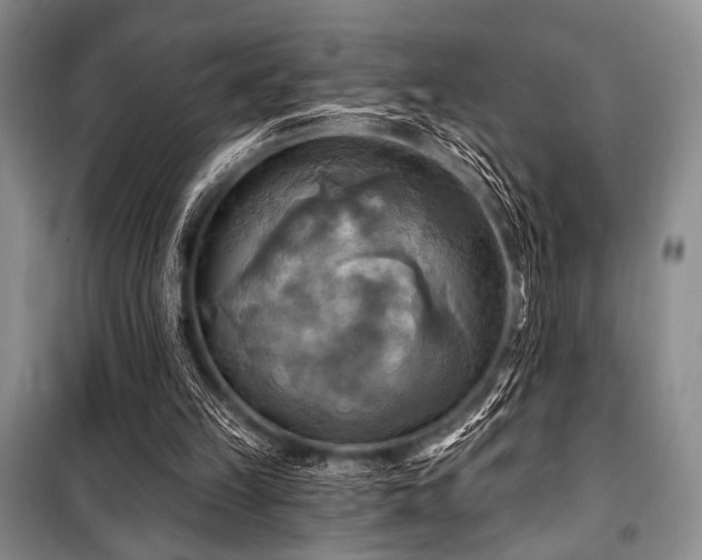 X0000100470149200806131135