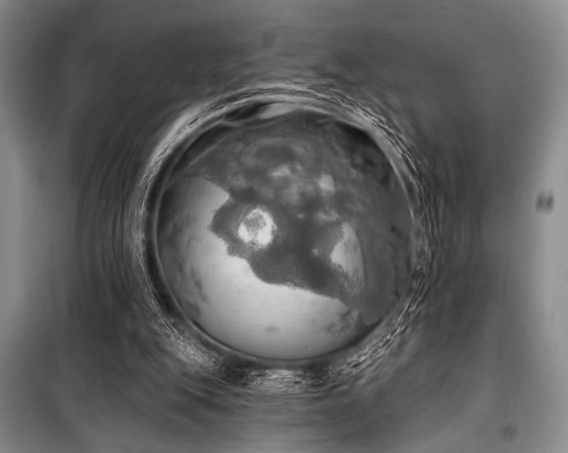 X0000100470151200806131135