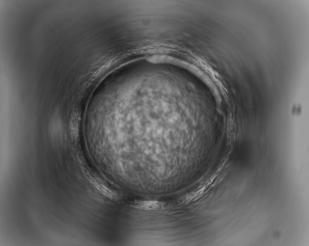 X0000100470153200806131135