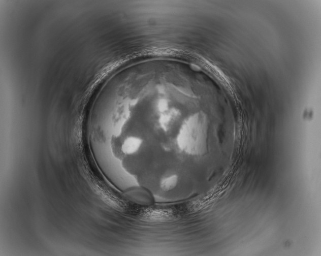 X0000100470155200806131135