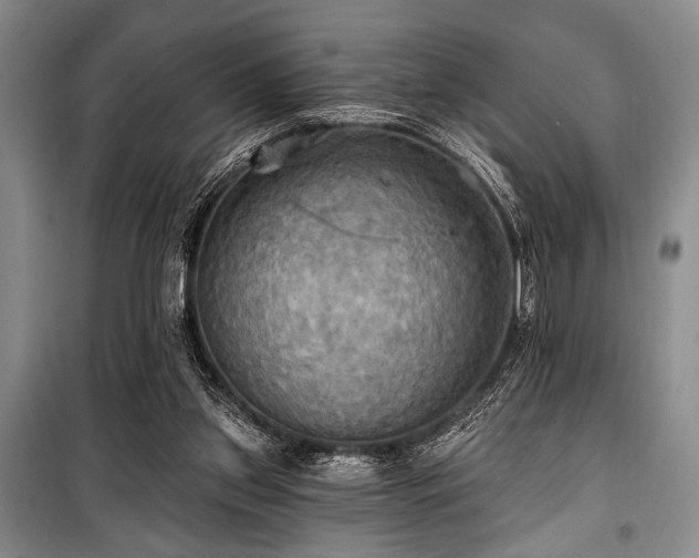 X0000100470157200806131135