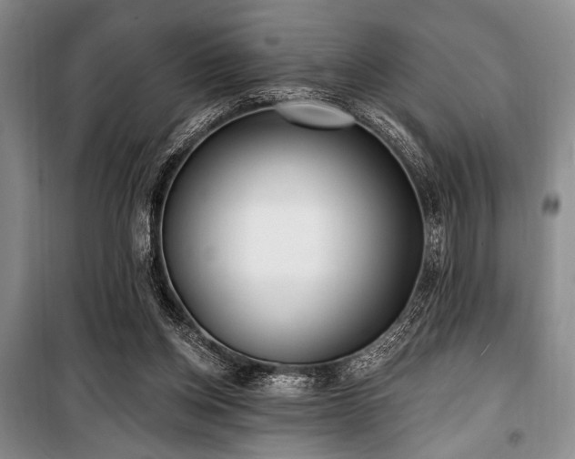 X0000100470158200806131135