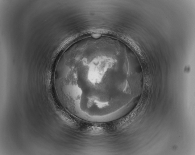 X0000100470159200806131135