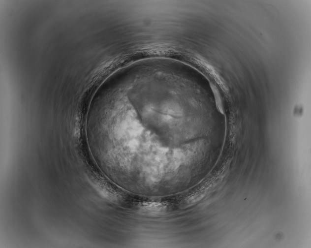 X0000100470161200806131135