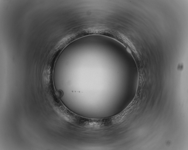 X0000100470163200806131135