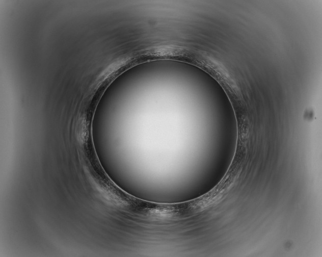 X0000100470164200806131135