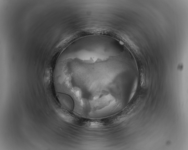 X0000100470165200806131135