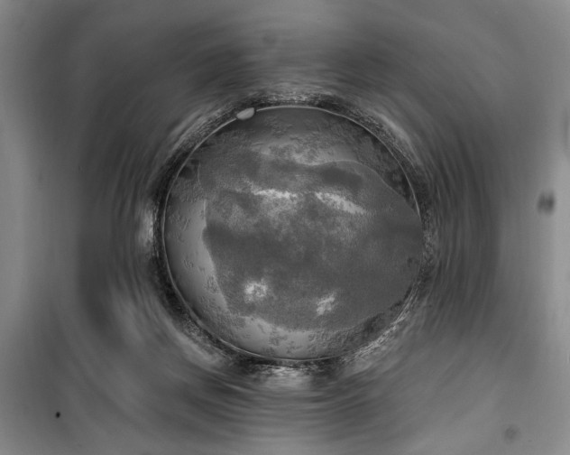 X0000100470166200806131135