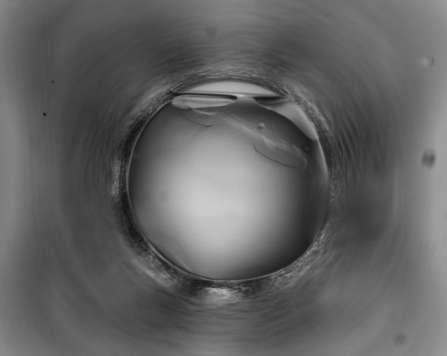 X0000100470167200806131135