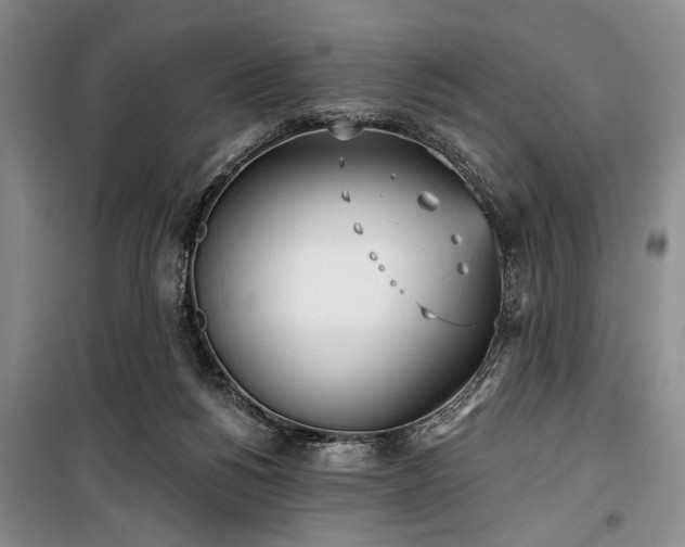 X0000100470168200806131135