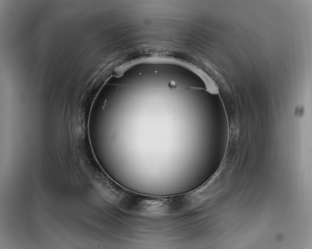 X0000100470170200806131135