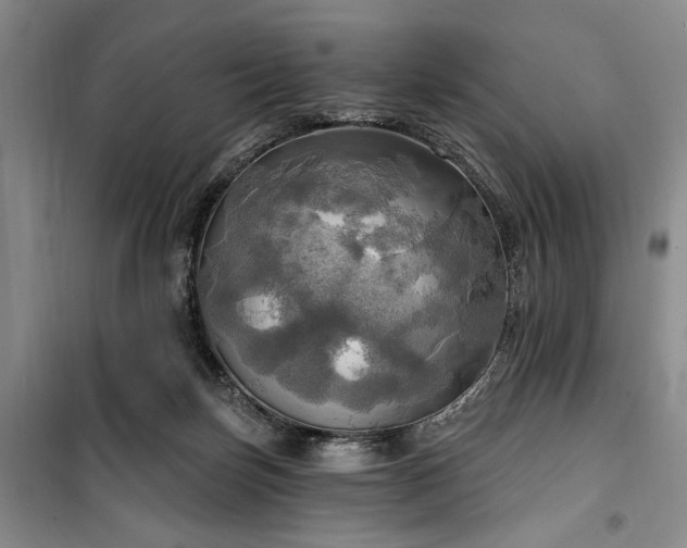 X0000100470171200806131135