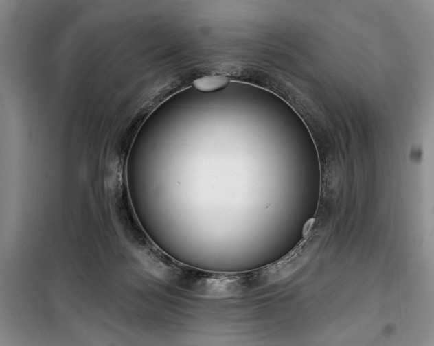 X0000100470172200806131135