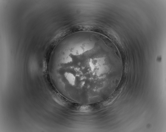 X0000100470173200806131135