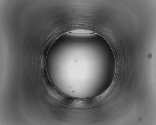 X0000100470174200806131135