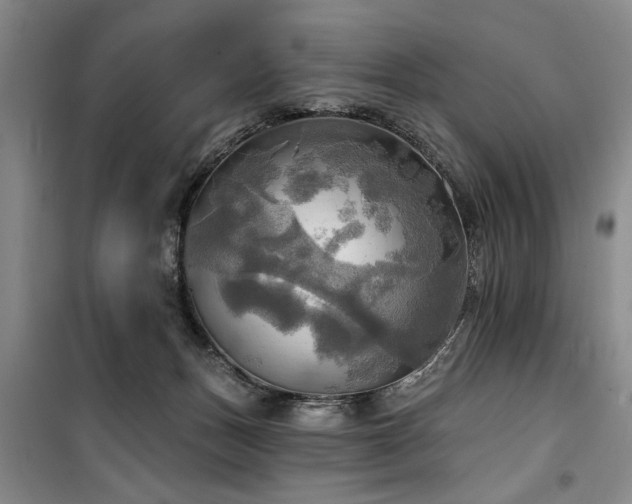 X0000100470175200806131135