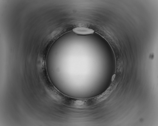 X0000100470176200806131135