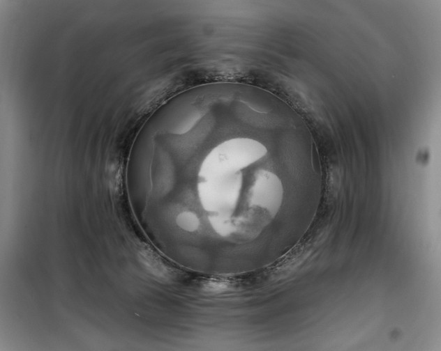 X0000100470177200806131135