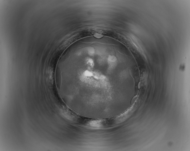 X0000100470178200806131135