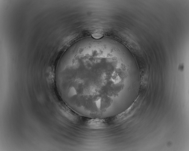 X0000100470179200806131135