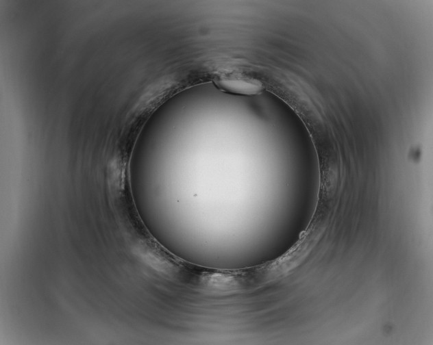 X0000100470180200806131135