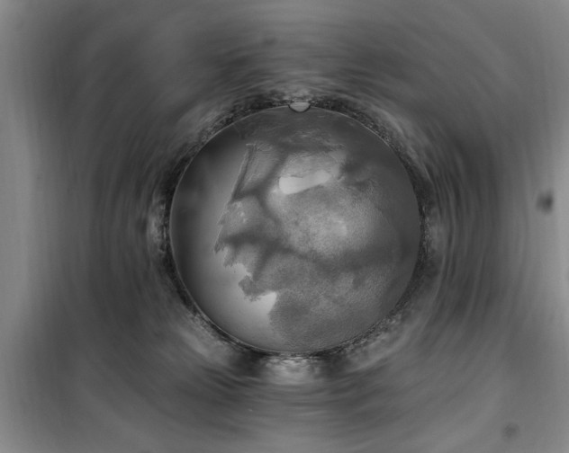 X0000100470181200806131135