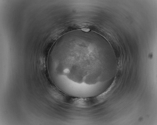 X0000100470182200806131135