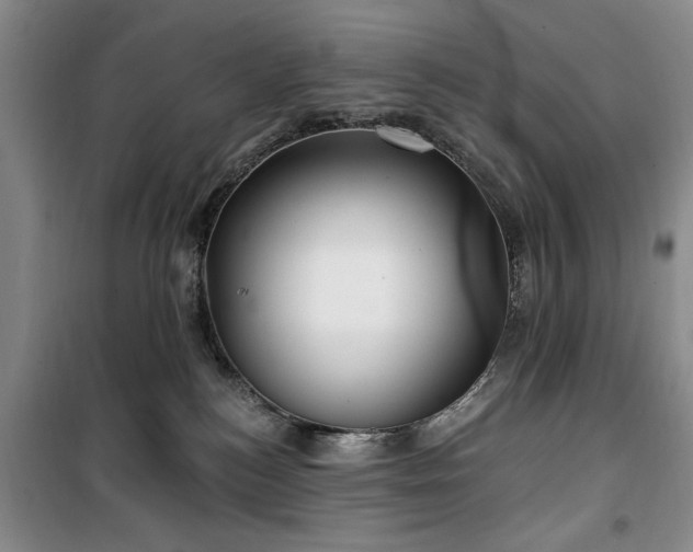 X0000100470184200806131135