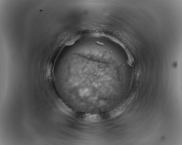 X0000100470185200806131135