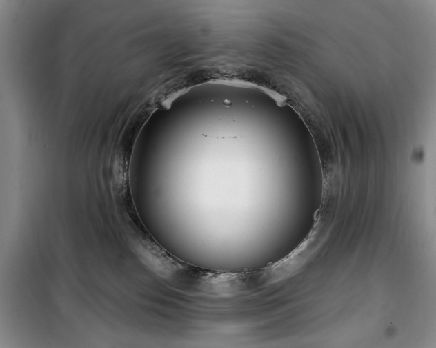 X0000100470186200806131135