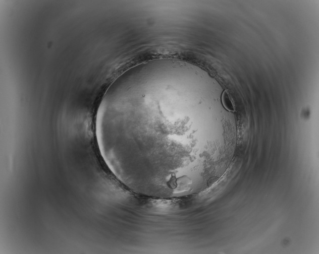 X0000100470187200806131135