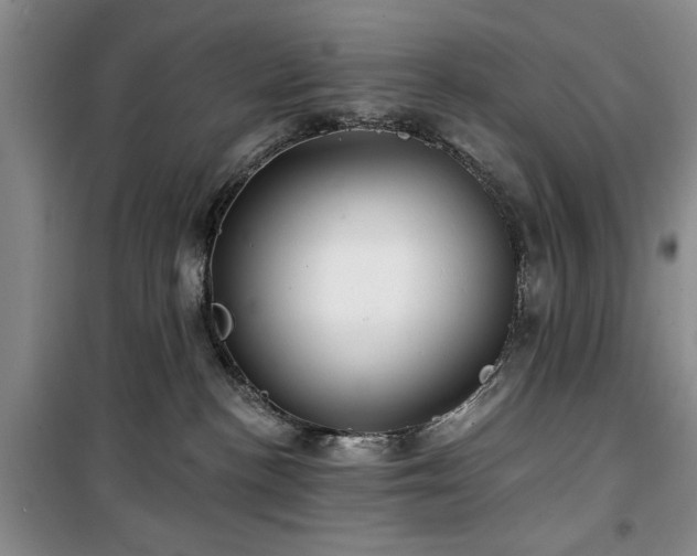 X0000100470188200806131135