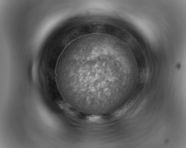 X0000100470189200806131135