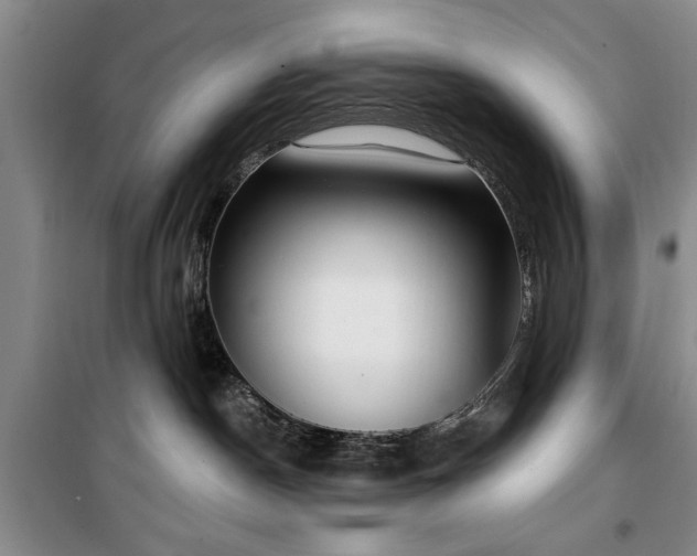 X0000100470190200806131135