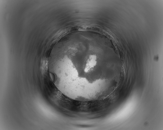 X0000100470191200806131135