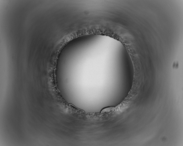 X0000100470192200806131135