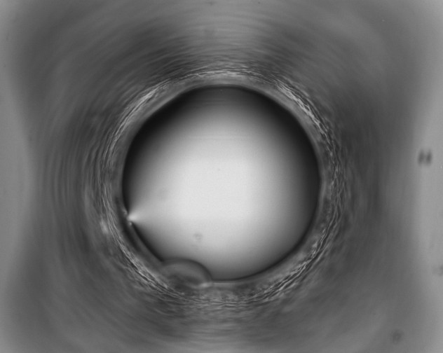 X0000100470193200806131134