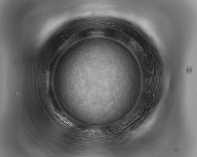 X0000100470194200806131134