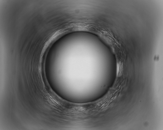 X0000100470195200806131134